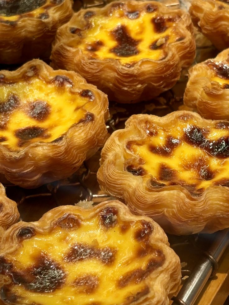 Tart trứng Kitten Cake